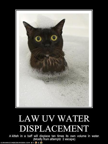 law funny